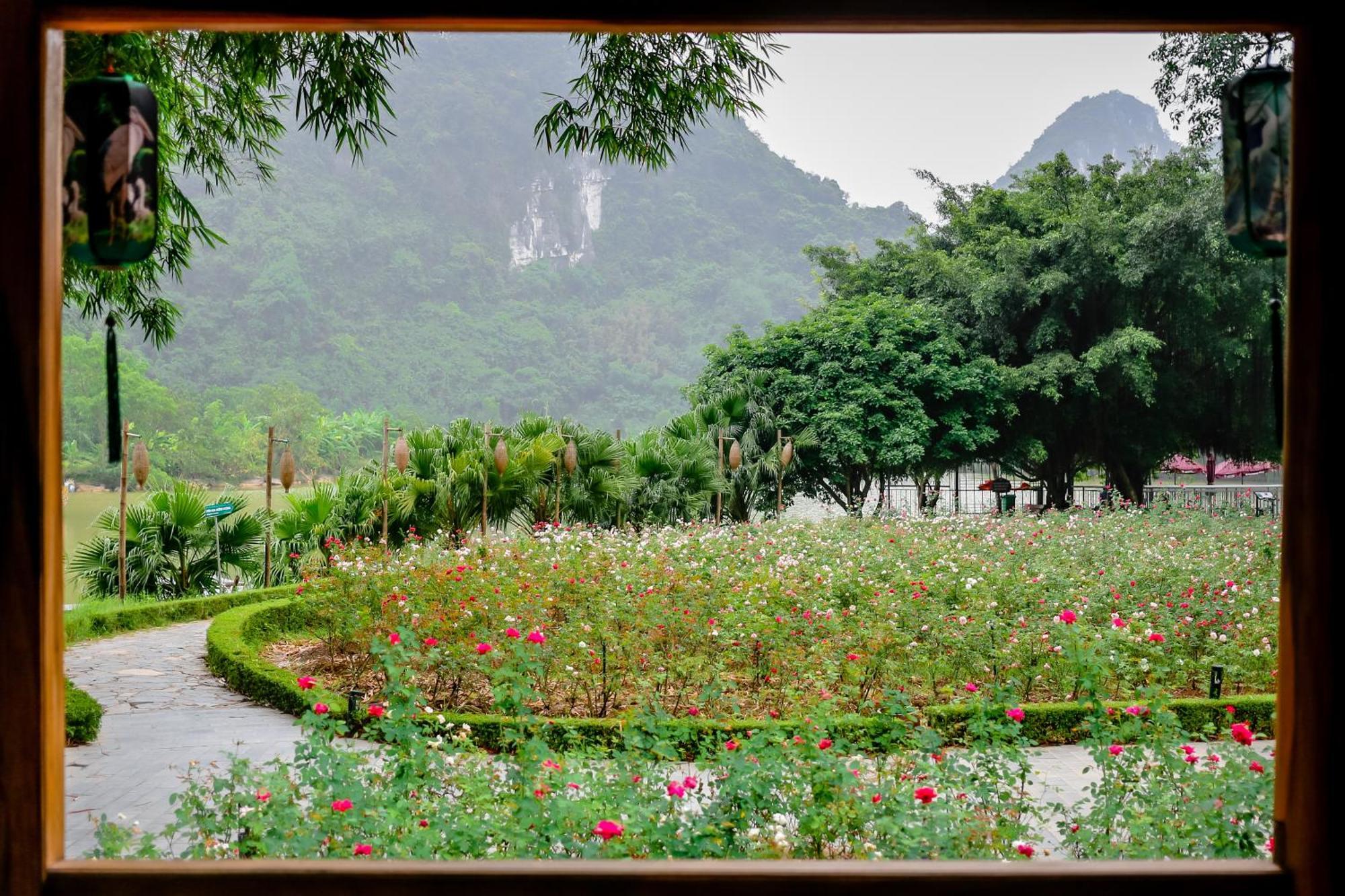 Thung Nham Resort Νιν Μπιν Εξωτερικό φωτογραφία